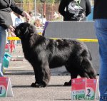 Превью фото № 76800