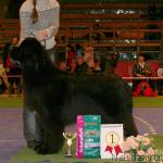 Превью фото № 7695