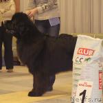 Превью фото № 7698