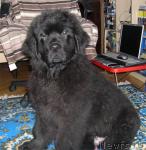 Превью фото № 7744