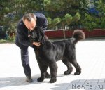 Превью фото № 77517