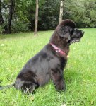 Превью фото № 77577