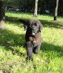 Превью фото № 77580