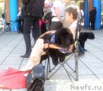 Превью фото № 78181