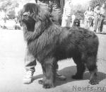 Превью фото № 7826