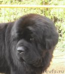 Превью фото № 78349