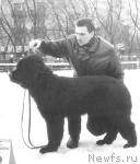 Превью фото № 7864