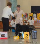 Превью фото № 78697