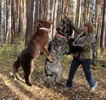 Превью фото № 78747