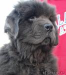 Превью фото № 7876