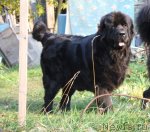 Превью фото № 78801