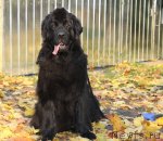 Превью фото № 78809