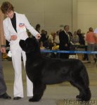 Превью фото № 78938