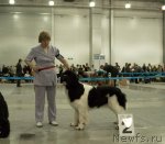 Превью фото № 79025