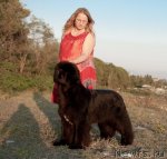 Превью фото № 79186