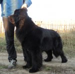 Превью фото № 79448