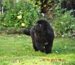 Превью фото № 79452