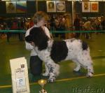 Превью фото № 7946