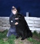 Превью фото № 79555