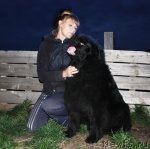 Превью фото № 79556