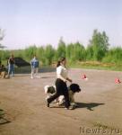 Превью фото № 7960