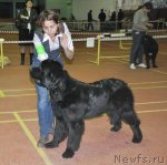 Превью фото № 79697