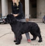 Превью фото № 79768