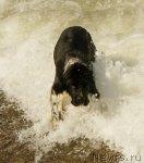 Превью фото № 79889