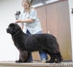 Превью фото № 7995