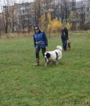 Превью фото № 79982