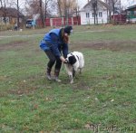 Превью фото № 79983