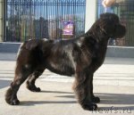 Превью фото № 79989