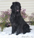 Превью фото № 80007