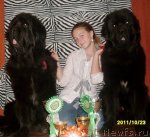 Превью фото № 80082