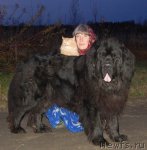 Превью фото № 80126