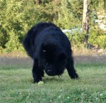 Превью фото № 80382