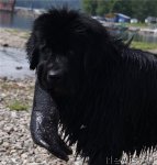 Превью фото № 80390