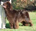 Превью фото № 80500