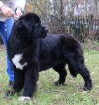 Превью фото № 80657