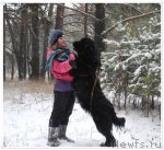 Превью фото № 80817