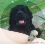 Превью фото № 81034