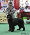 Превью фото № 81230