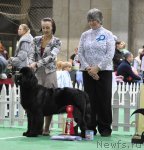 Превью фото № 81253