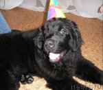 Превью фото № 81270