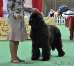 Превью фото № 81361