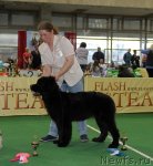 Превью фото № 81406