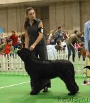 Превью фото № 81515