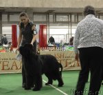 Превью фото № 81632