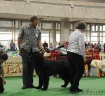 Превью фото № 81643