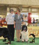 Превью фото № 81653